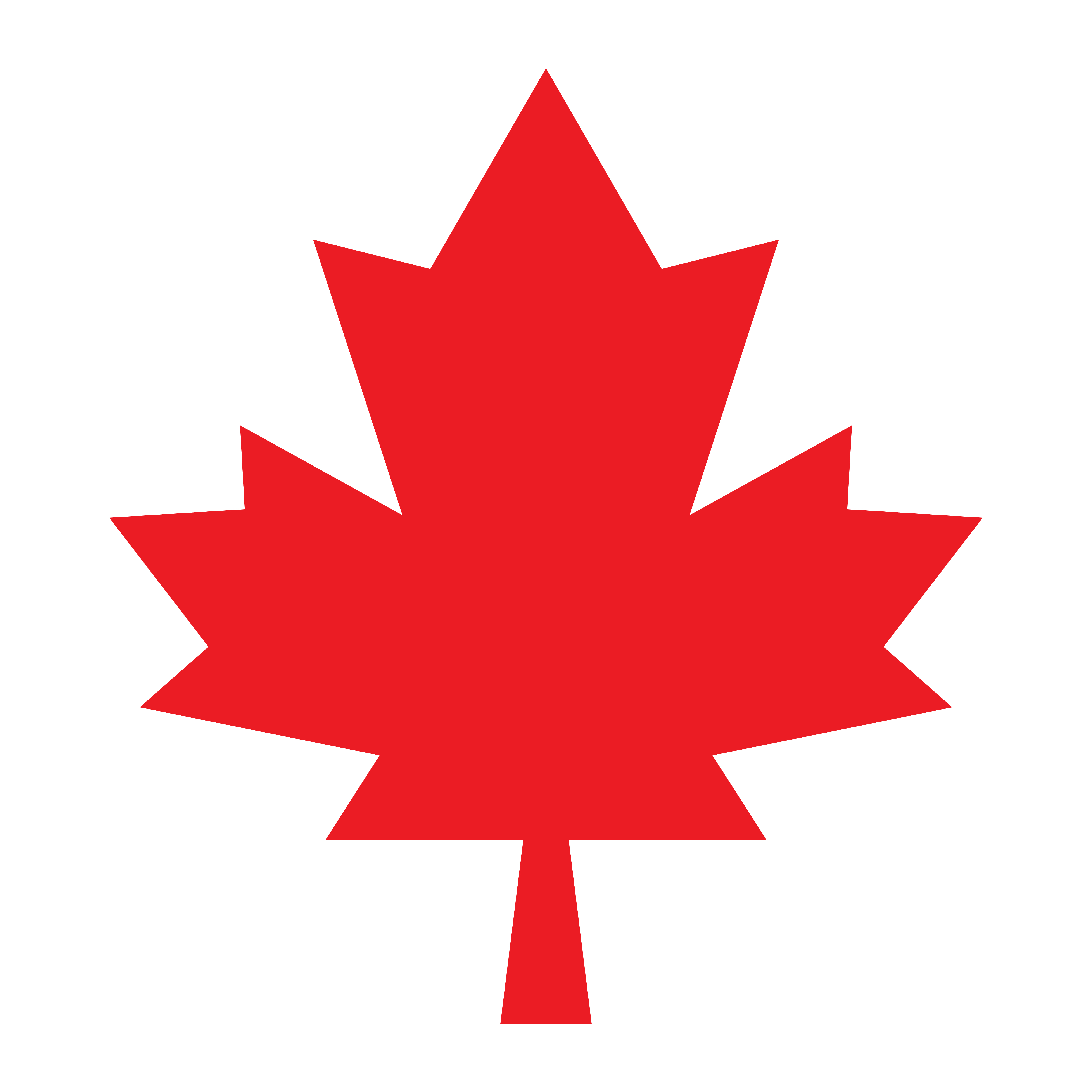 Red maple leaf icon